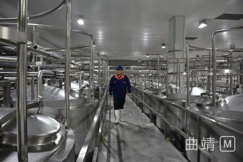 陸良2.8億投資項(xiàng)目順利進(jìn)入試生產(chǎn)階段，區(qū)域經(jīng)濟(jì)迎來(lái)發(fā)展新動(dòng)能