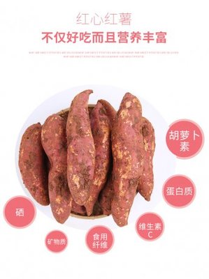 紅土蜜薯現挖鮮發 云南紅土地紅薯大果中果批發全解析